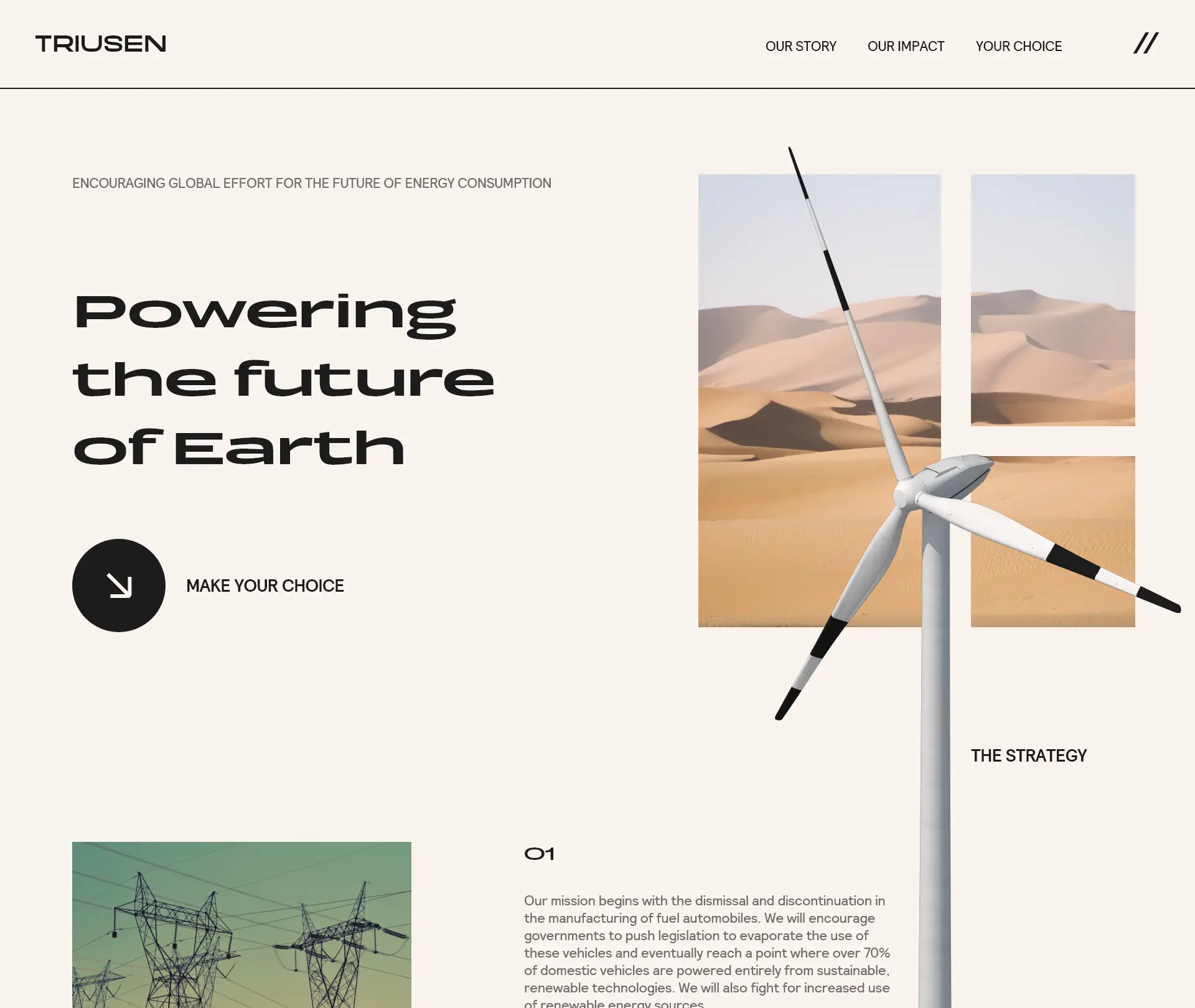Triusen web concept